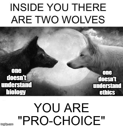 Inside you there are two wolves... | one doesn't understand ethics; one doesn't understand biology; YOU ARE "PRO-CHOICE" | image tagged in inside you there are two wolves,biology,ethics,pro-choice,pro-life,memes | made w/ Imgflip meme maker