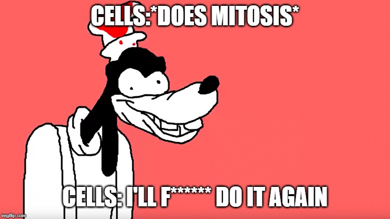 I'll do it again | CELLS:*DOES MITOSIS*; CELLS: I'LL F****** DO IT AGAIN | image tagged in i'll do it again | made w/ Imgflip meme maker