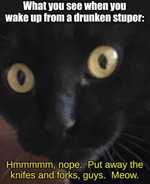 What you see when you wake up from a drunken stupor:; Hmmmmm, nope.  Put away the knifes and forks, guys.  Meow. | image tagged in memes,life | made w/ Imgflip meme maker