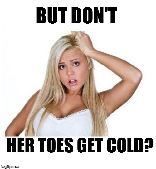 BUT DON'T HER TOES GET COLD? | made w/ Imgflip meme maker