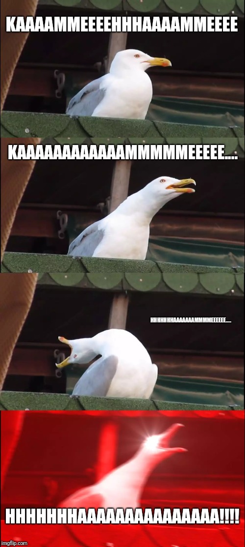 Inhaling Seagull Meme | KAAAAMMEEEEHHHAAAAMMEEEE; KAAAAAAAAAAAAMMMMMEEEEE.... HHHHHHHAAAAAAAMMMMEEEEEE..... HHHHHHHAAAAAAAAAAAAAAA!!!! | image tagged in memes,inhaling seagull | made w/ Imgflip meme maker