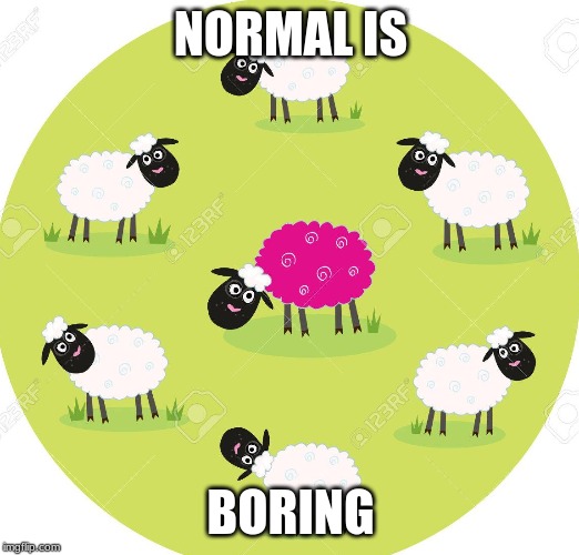  NORMAL IS; BORING | image tagged in sheep,unique,memes | made w/ Imgflip meme maker
