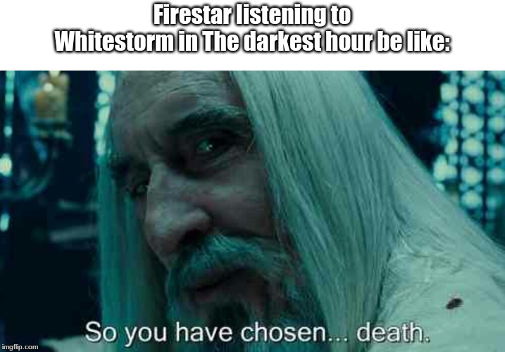 So you have chosen death | Firestar listening to Whitestorm in The darkest hour be like: | image tagged in so you have chosen death | made w/ Imgflip meme maker