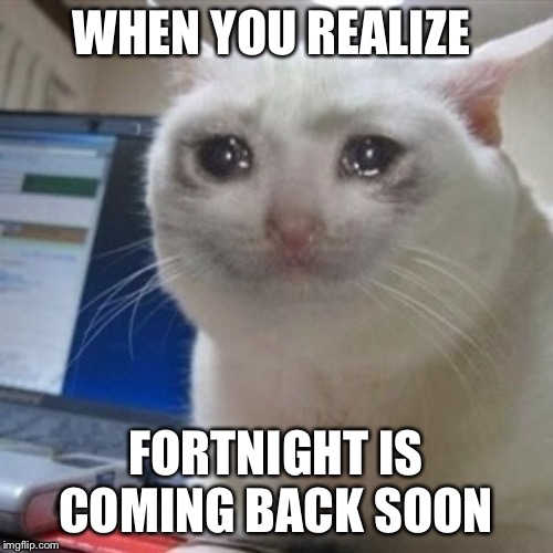 Crying cat | WHEN YOU REALIZE; FORTNIGHT IS COMING BACK SOON | image tagged in crying cat | made w/ Imgflip meme maker