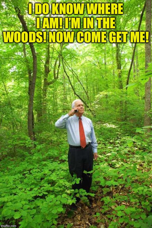 Lost in the Woods | I DO KNOW WHERE I AM! I’M IN THE WOODS! NOW COME GET ME! | image tagged in lost in the woods | made w/ Imgflip meme maker