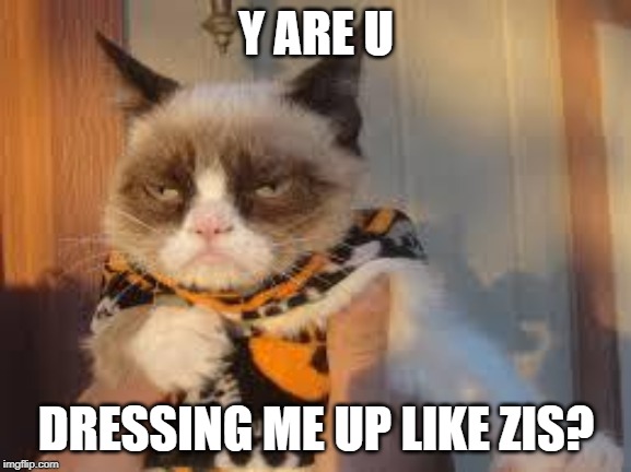 Grumpy Cat Halloween Meme | Y ARE U; DRESSING ME UP LIKE ZIS? | image tagged in memes,grumpy cat halloween,grumpy cat | made w/ Imgflip meme maker