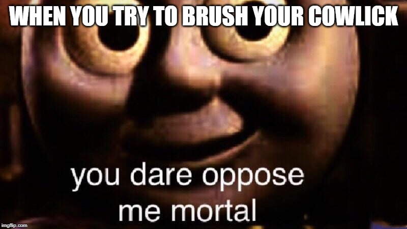 You dare oppose me mortal | WHEN YOU TRY TO BRUSH YOUR COWLICK | image tagged in you dare oppose me mortal | made w/ Imgflip meme maker