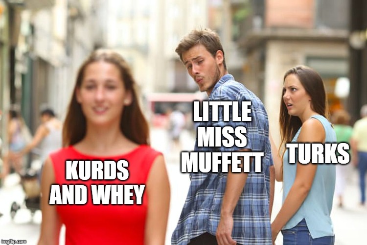 Distracted Boyfriend Meme | KURDS AND WHEY LITTLE MISS MUFFETT TURKS | image tagged in memes,distracted boyfriend | made w/ Imgflip meme maker