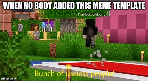 Bunch of usless people | WHEN NO BODY ADDED THIS MEME TEMPLATE | image tagged in mumbo,minecraft,hermitcraft | made w/ Imgflip meme maker
