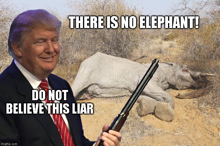 Criminal Corrupt Soon-to-be Ex-President Trump | THERE IS NO ELEPHANT! DO NOT BELIEVE THIS LIAR | image tagged in impeach trump,impeach,impeachment,trump impeachment,criminal,traitor | made w/ Imgflip meme maker