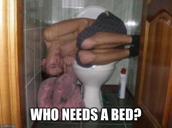 Sleeping on toilet | WHO NEEDS A BED? | image tagged in sleeping on toilet | made w/ Imgflip meme maker
