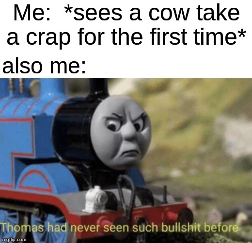 Thomas had never seen such bullshit before | Me:  *sees a cow take a crap for the first time*; also me: | image tagged in thomas had never seen such bullshit before | made w/ Imgflip meme maker