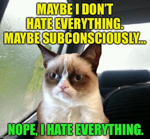 An introspective Grumpy Cat | MAYBE I DON’T HATE EVERYTHING. MAYBE SUBCONSCIOUSLY... NOPE, I HATE EVERYTHING. | image tagged in introspective grumpy cat,memes,funny | made w/ Imgflip meme maker