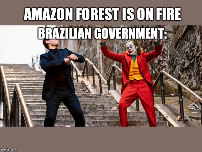 Peter Joker Dancing | AMAZON FOREST IS ON FIRE; BRAZILIAN GOVERNMENT: | image tagged in peter joker dancing | made w/ Imgflip meme maker