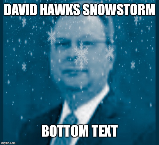 David hawks memes | DAVID HAWKS SNOWSTORM; BOTTOM TEXT | image tagged in birds | made w/ Imgflip meme maker