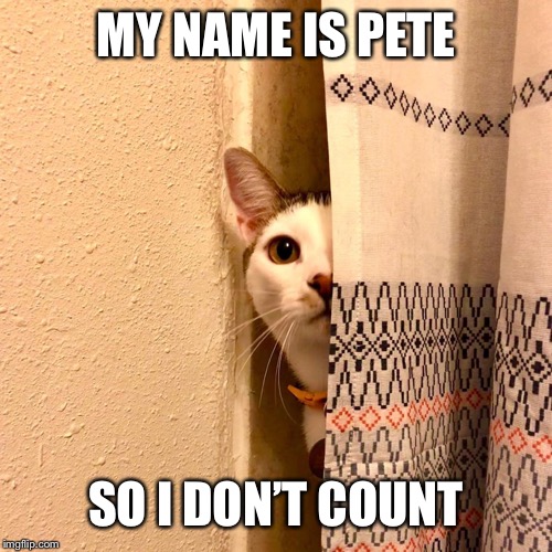 Cat peeking around curtain | MY NAME IS PETE SO I DON’T COUNT | image tagged in cat peeking around curtain | made w/ Imgflip meme maker