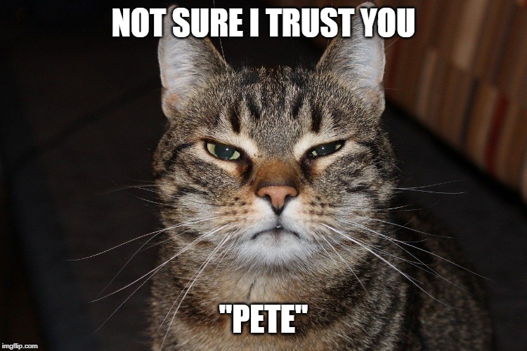 NOT SURE I TRUST YOU "PETE" | made w/ Imgflip meme maker