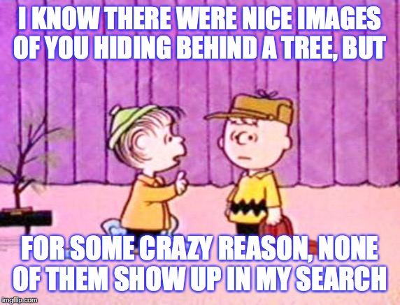 Charlie Brown and Linus | I KNOW THERE WERE NICE IMAGES OF YOU HIDING BEHIND A TREE, BUT FOR SOME CRAZY REASON, NONE OF THEM SHOW UP IN MY SEARCH | image tagged in charlie brown and linus | made w/ Imgflip meme maker