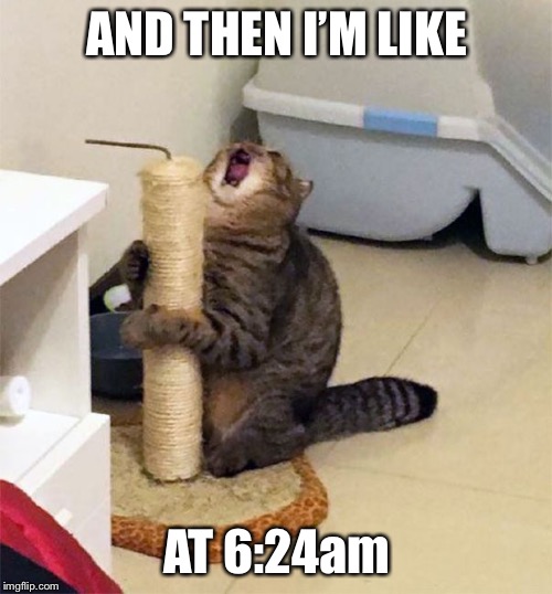 Over Dramatic Cat | AND THEN I’M LIKE AT 6:24am | image tagged in over dramatic cat | made w/ Imgflip meme maker