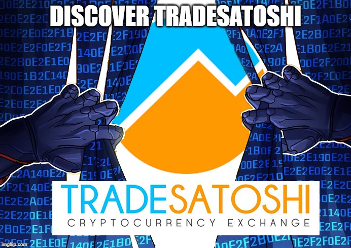 Discover Tradesatoshi | DISCOVER TRADESATOSHI | image tagged in discover tradesatoshi | made w/ Imgflip meme maker