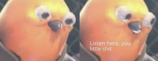 Listen here you little shit bird Blank Meme Template