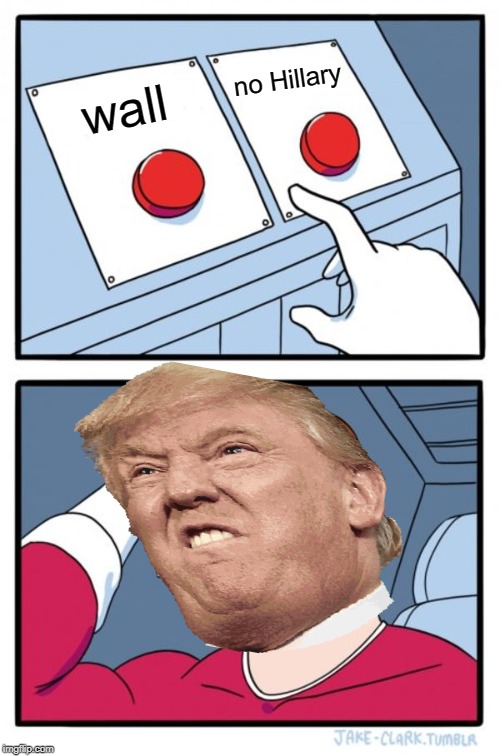 Two Buttons Meme | no Hillary; wall | image tagged in memes,two buttons | made w/ Imgflip meme maker