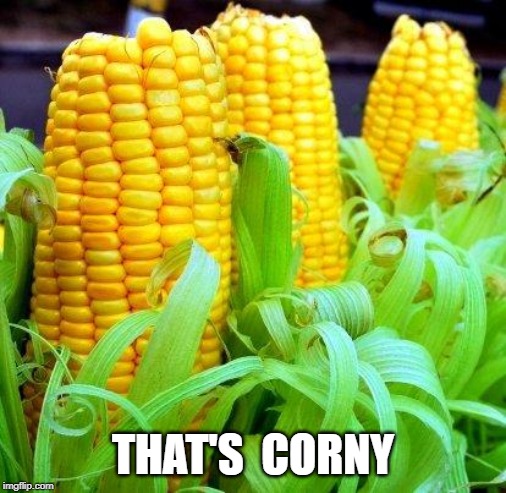 CORN meme | THAT'S  CORNY | image tagged in corn meme | made w/ Imgflip meme maker