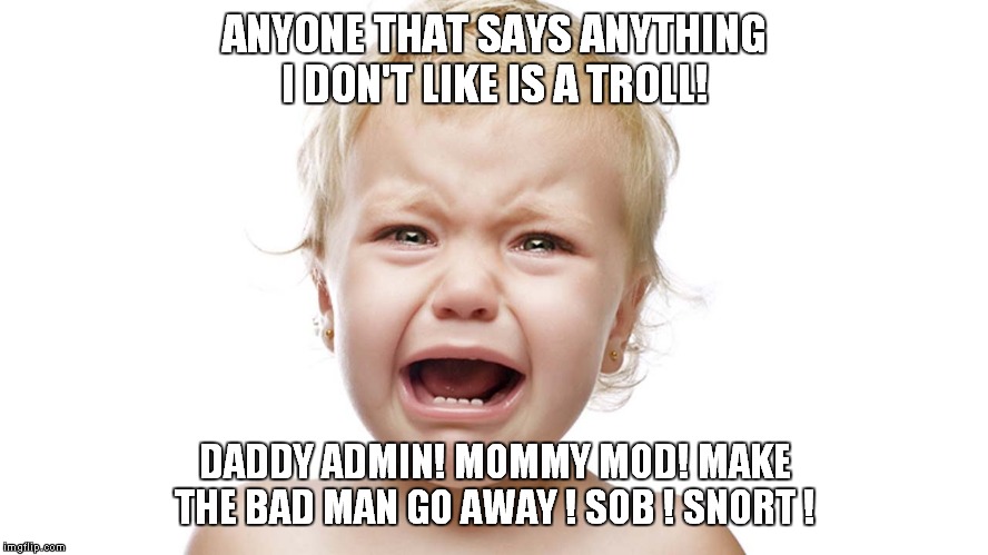 It works good on Facebook, Twitter, and Reddit...but will this tactic fly on mewe? | ANYONE THAT SAYS ANYTHING I DON'T LIKE IS A TROLL! DADDY ADMIN! MOMMY MOD! MAKE THE BAD MAN GO AWAY ! SOB ! SNORT ! | image tagged in sjws,libtards,adult babies | made w/ Imgflip meme maker