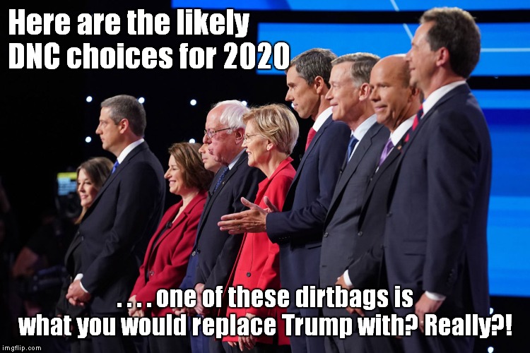 There is no accounting for taste...nor lack of intelligence! | Here are the likely DNC choices for 2020; . . . . one of these dirtbags is what you would replace Trump with? Really?! | image tagged in dnc,election 2020 | made w/ Imgflip meme maker