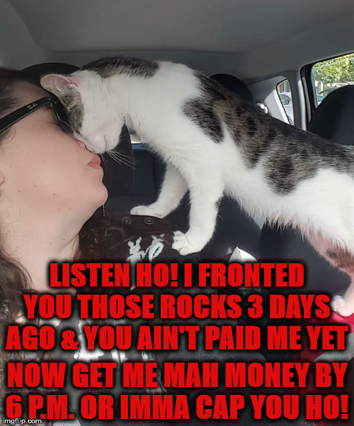 LISTEN HO | LISTEN HO! I FRONTED YOU THOSE ROCKS 3 DAYS AGO & YOU AIN'T PAID ME YET; NOW GET ME MAH MONEY BY 6 P.M. OR IMMA CAP YOU HO! | image tagged in listen ho | made w/ Imgflip meme maker