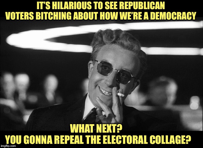 Doctor Strangelove says... | IT’S HILARIOUS TO SEE REPUBLICAN VOTERS B**CHING ABOUT HOW WE’RE A DEMOCRACY WHAT NEXT?  
YOU GONNA REPEAL THE ELECTORAL COLLAGE? | made w/ Imgflip meme maker
