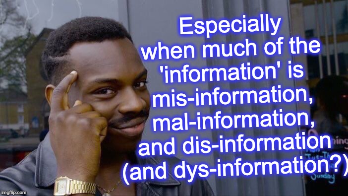 Roll Safe Think About It Meme | Especially when much of the 'information' is mis-information, mal-information, and dis-information (and dys-information?) | image tagged in memes,roll safe think about it | made w/ Imgflip meme maker