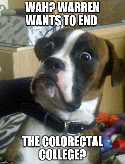 Blankie the confused shocked Dog | WAH? WARREN WANTS TO END; THE COLORECTAL COLLEGE? | image tagged in blankie the shocked dog,blankie the confused shocked dog,memes,funny memes,political | made w/ Imgflip meme maker