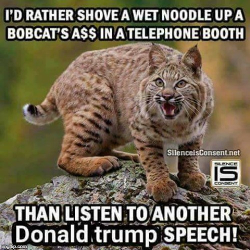 . | image tagged in trump,speech,rally,garbage,crazy,insanity | made w/ Imgflip meme maker