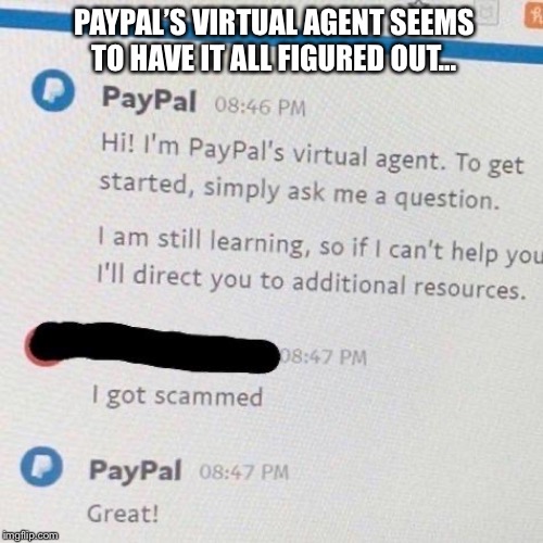Scammers know scammers... | PAYPAL’S VIRTUAL AGENT SEEMS TO HAVE IT ALL FIGURED OUT... | image tagged in paypal | made w/ Imgflip meme maker