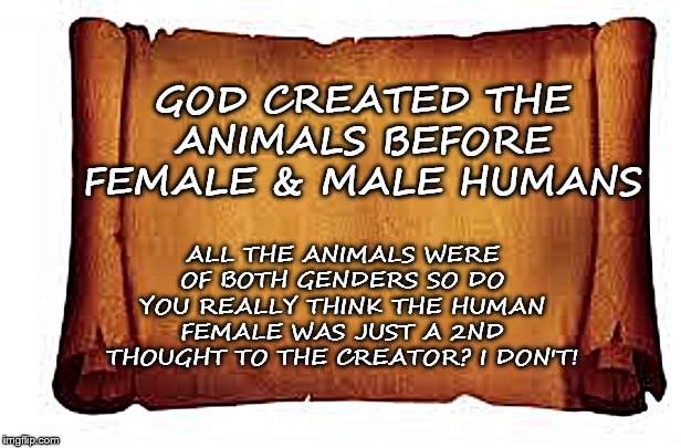 Paper Scroll | GOD CREATED THE ANIMALS BEFORE FEMALE & MALE HUMANS; ALL THE ANIMALS WERE OF BOTH GENDERS SO DO YOU REALLY THINK THE HUMAN FEMALE WAS JUST A 2ND THOUGHT TO THE CREATOR? I DON'T! | image tagged in paper scroll | made w/ Imgflip meme maker