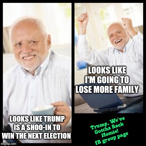 MAN DISOWNED BY HIS FAMILY FOR SUPPORTING TRUMP | LOOKS LIKE I'M GOING TO LOSE MORE FAMILY; LOOKS LIKE TRUMP IS A SHOO-IN TO WIN THE NEXT ELECTION | image tagged in hide the pain harold,trump 2020,unfriend,election,political humor | made w/ Imgflip meme maker