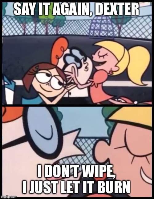 Say it Again, Dexter Meme | SAY IT AGAIN, DEXTER; I DON’T WIPE, I JUST LET IT BURN | image tagged in memes,say it again dexter | made w/ Imgflip meme maker