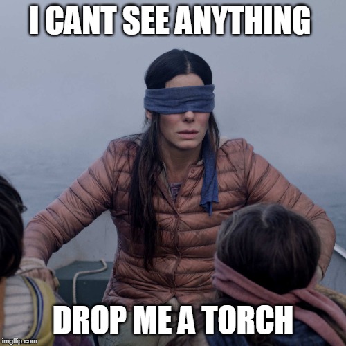 Bird Box Meme | I CANT SEE ANYTHING; DROP ME A TORCH | image tagged in memes,bird box | made w/ Imgflip meme maker