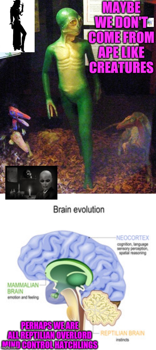 This might sound crazy | MAYBE WE DON'T COME FROM APE LIKE CREATURES; PERHAPS WE ARE ALL REPTILIAN OVERLORD MIND CONTROL HATCHLINGS | image tagged in reptilians,evolution,conspiracy theories | made w/ Imgflip meme maker