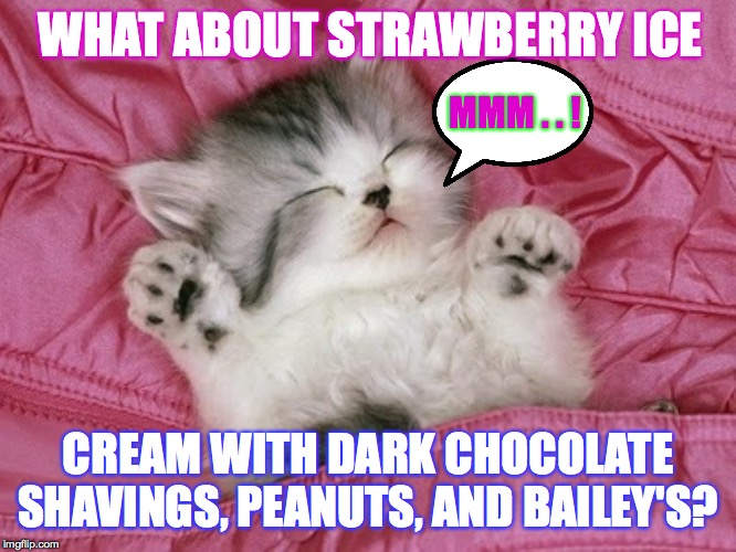 cute kitten sleeping  | WHAT ABOUT STRAWBERRY ICE CREAM WITH DARK CHOCOLATE SHAVINGS, PEANUTS, AND BAILEY'S? MMM . . ! | image tagged in cute kitten sleeping | made w/ Imgflip meme maker