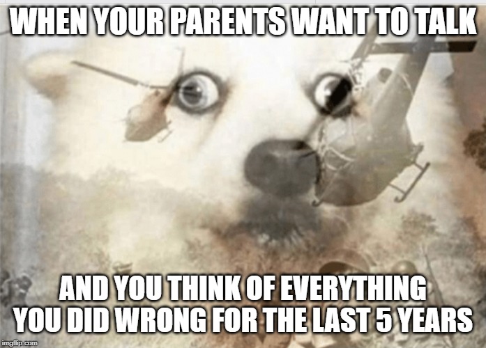 Oh no............ | WHEN YOUR PARENTS WANT TO TALK; AND YOU THINK OF EVERYTHING YOU DID WRONG FOR THE LAST 5 YEARS | image tagged in ptsd dog,vietnam,memes,horror,flashback,dogs | made w/ Imgflip meme maker