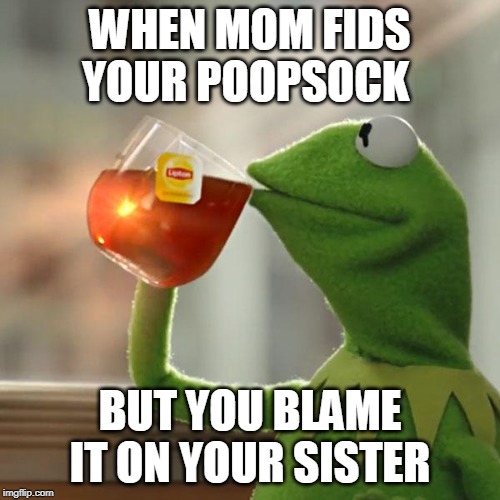 But That's None Of My Business | WHEN MOM FIDS YOUR POOPSOCK; BUT YOU BLAME IT ON YOUR SISTER | image tagged in memes,but thats none of my business,kermit the frog | made w/ Imgflip meme maker