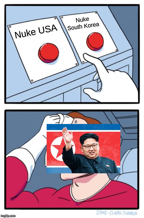 Two Buttons Meme | Nuke South Korea; Nuke USA | image tagged in memes,two buttons | made w/ Imgflip meme maker