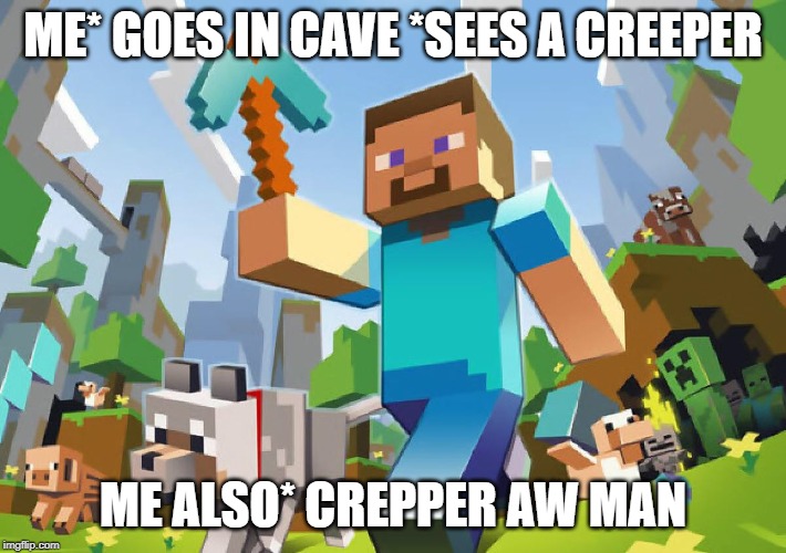 Minecraft  | ME* GOES IN CAVE *SEES A CREEPER; ME ALSO* CREPPER AW MAN | image tagged in minecraft | made w/ Imgflip meme maker
