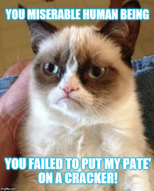 Don't be a miserable human being | YOU MISERABLE HUMAN BEING; YOU FAILED TO PUT MY PATE'
ON A CRACKER! | image tagged in memes,grumpy cat,funny memes,cats | made w/ Imgflip meme maker