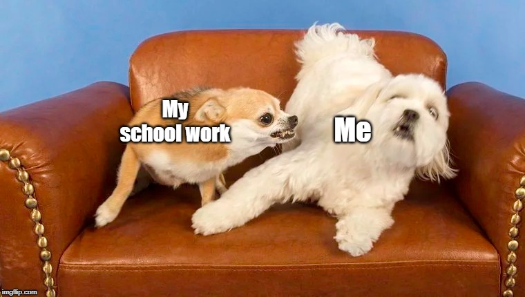 My school work; Me | image tagged in funny memes | made w/ Imgflip meme maker