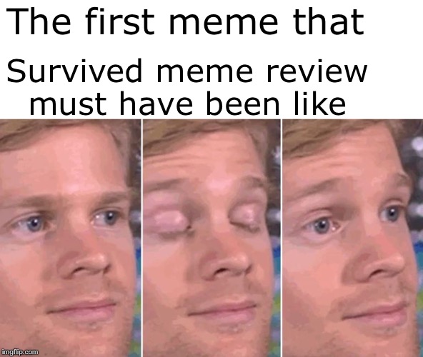 Plz someone help me show this to Pewdiepie | The first meme that; Survived meme review must have been like | image tagged in pewds,pewdiepie,white guy blinking,memes | made w/ Imgflip meme maker