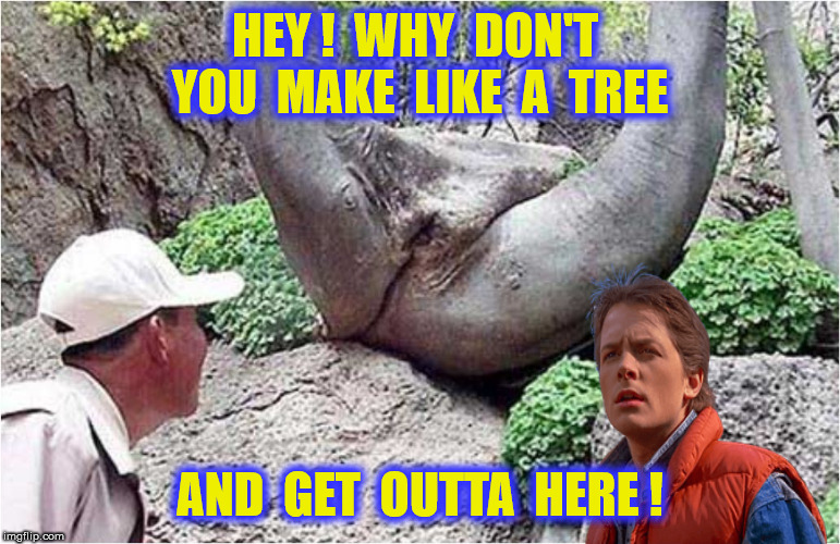 HEY !  WHY  DON'T  YOU  MAKE  LIKE  A  TREE AND  GET  OUTTA  HERE ! | made w/ Imgflip meme maker