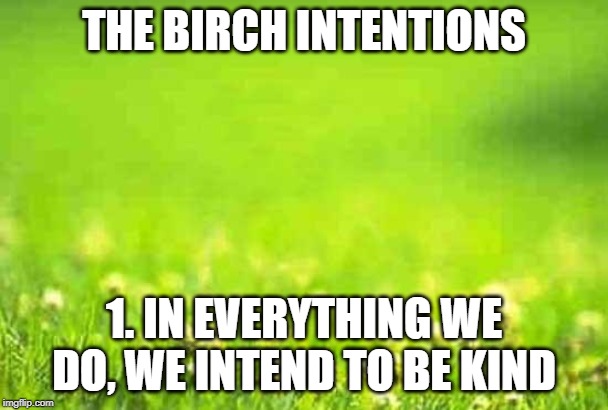 green background | THE BIRCH INTENTIONS; 1. IN EVERYTHING WE DO, WE INTEND TO BE KIND | image tagged in green background | made w/ Imgflip meme maker